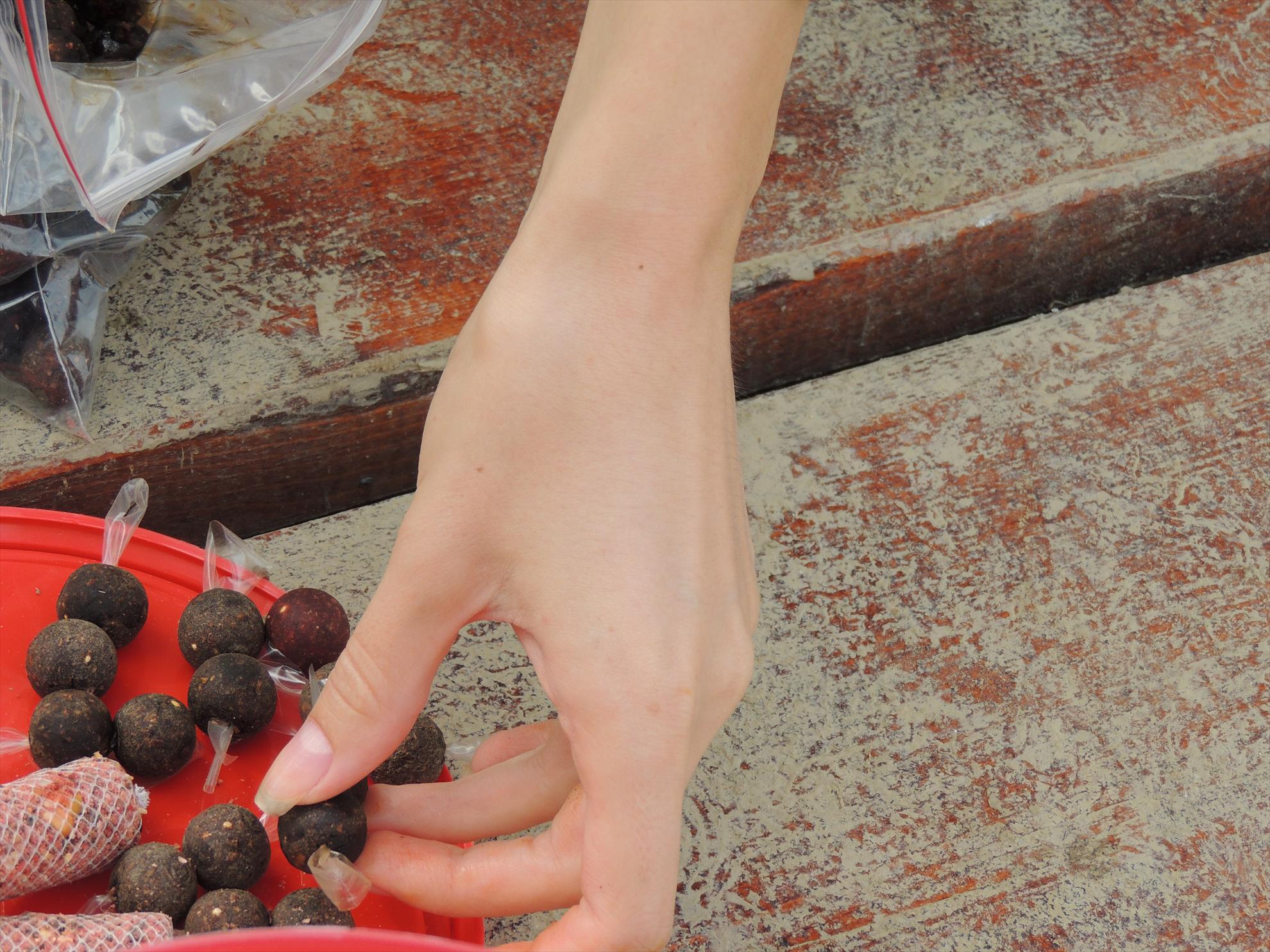 Pleasa - dscn0539.JPG